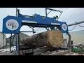 White oak 29 long 12