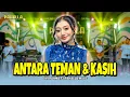 Lagu ANTARA TEMAN \u0026 KASIH | Dwi Rahma | Pahalla Music Official