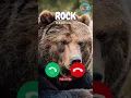 Rock 🐻 #ringtone #viralvideos #catshorts #kidsshorts #gato #babygirl #cute #viralshorts #shortshumor