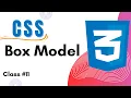 What is CSS Box Model Margin Padding Border Width Height CSS Tutorials Class 11