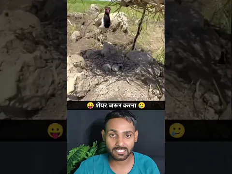 बतख की जान बच गई 🫡😢 #shorts #humanity