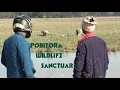 Download Lagu MIX MONDAY VLOG আজ আপনাদের পবিতরা অভয়ারণ্য ঘোরাবো  | POBITORA WILDLIFE SANCTUARY | Random JOURNEY |