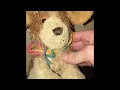 Daniellovesdogs22news editorial 2022 4 40am
