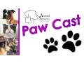 El Paso Animal Services Paw Cast - October 2016