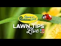 July Lawn Tips Live from Super-Sod of Marietta GA - Lawn Care Advice for the Southeast