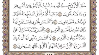 سورة يس مكتوبة محمد أيوب 