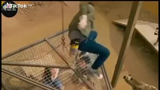 صديق الزين الوفي نعمه من الله   دندنها