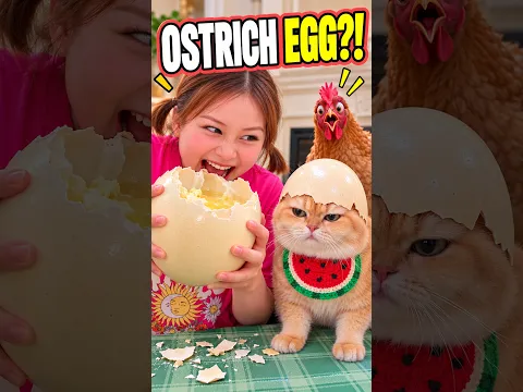 She Ate a Giant Ostrich Egg… Her Cat Was NOT Impressed! 😹 #exlittlebeans #funnyvideo #cat