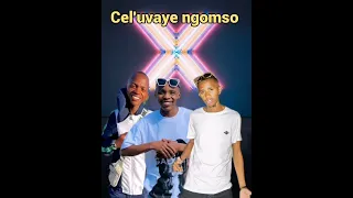 shappacee cardiecee celuvaye ngomso feat blaqchain 