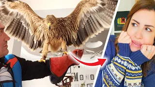 فاجأتهم بنسر 🦅!! (كل الغربان حامت فوق منزل سوبرفاميلي 😨🏡)