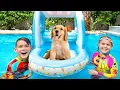Download Lagu Ivan Found a Funny Puppy | Pet Video Collection