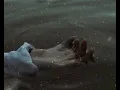 Dolu Kadehi Ters Tut - Belki (Sözleri)