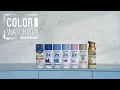 Color Watch Rust-Oleum Spray Paint Color of the Year 2024