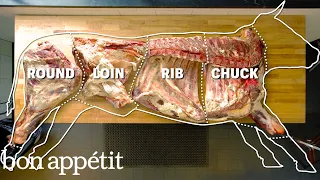 how to butcher an entire cow every cut of meat explained bon appetit