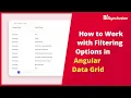 How to Work with Filtering Options in Angular Data Grid