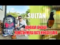 Download Lagu 🏆 Rahasia Perawatan Murai Batu Juara Lomba — Tips dari Kicau Mania Berpengalaman!