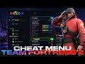 Team Fortress 2 Mod Menu 2026 Free PC Undetected Aimbot ESP No Recoil No Ban