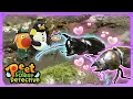 Download Lagu 🪲 Romeo the Rhino Beetle ❤️ Juliet the Stag Beetle?! |  Animal Stories | Peet The Forest Detective