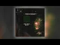 Trickfinger - Meaning To