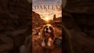 Happy 3rd Birthday, Oakley! 🐾🎂❤️