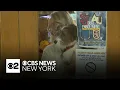 Animals bring comfort joy to students at Long Island high school