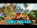 WHERE TO FIND DUNG BEETLES - ASA