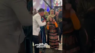 عثمان بشه الترند يا سيد الدلال حفلات القاهره 