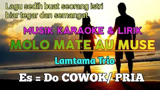 Download MOLO MATE AU MUSE lagu Lamtama trio karaoke nada pria/laki-laki lengkap lirik no vocal MP3
