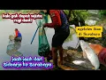 Download Lagu REZEKI MENCARI IKAN SISA PANEN! FULL DURASI JUAL IKAN SAMPE LUDES SE AKAR-AKARNYA🤲