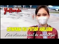 Lagu Izinkan ku putar haluan lirik || Kau dimana saat ku menangis yollanda