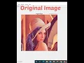 Image processing in MATLAB Gray scale image code