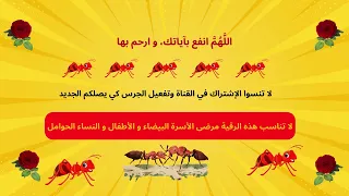 رقية لإخراج النمل من المنزل بدون مبيدات دندنها