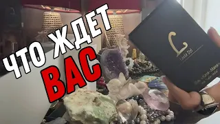 Что ПРОИСХОДИТ в ВАШЕЙ ЖИЗНИ сейчас? 😳 Чего ВАМ ожидать?