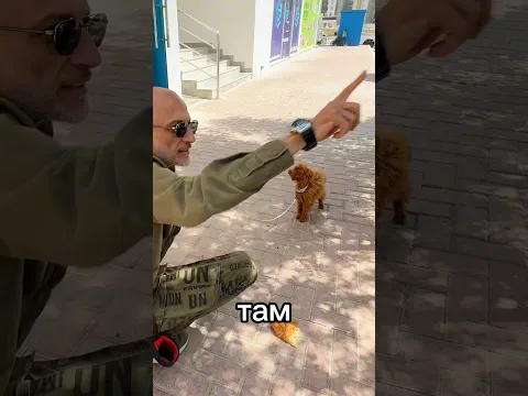 Подбирание с земли