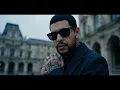 Le Hice Caso Al Corazón - Flow Firme style (Music Video)