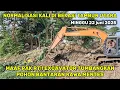 Download Lagu Minggu lembur!! Excavator Tumbangkan pohon Liar Bantaran kali bekasi ramentes #dedimulyadi