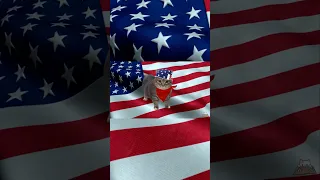 USA ANTHEM By UIA Shorts Uia Usa Memes Anthem Flag Brainrot Uiacat Oiiaoiia America 