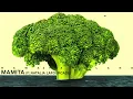 Mamita (feat Natalia Lafourcade)