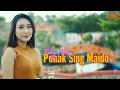 PENAK SING MAIDO ( DJ ANGKLUNG SANTUY) - FEBY ANISA [ OFFICIAL MUSIC VEDIO ]