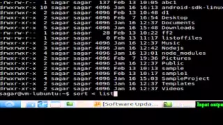 Input output redirection in Linux Shell terminal