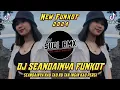 DJ SEANDAINYA KAU TAU KU TAK INGIN KAU PERGI VIRAL | DJ SEANDAINYA - VIERRA FUNKOT | DJ SUDI RMX