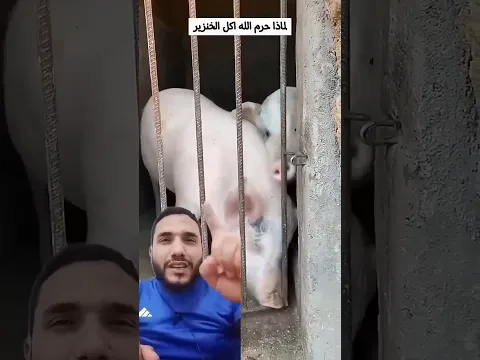 هل تعرف لماذا حرم الله اكل لحم الخنزير 😮😮