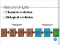 Bio 3201 Unit 4 Lesson 2 Timeline of Evolution