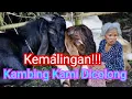 Download Lagu Kami Kemalingan!!! Uang Jutaan Raib