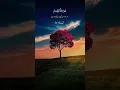 Download Lagu surat Nisa Complete Urdu Tarjama #islamicstatus
