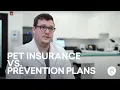 Pet Insurance vs Prevention Plans The Difference