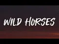 The Rolling Stones - Wild Horses with LYRICS ♪