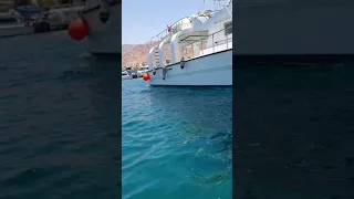 القارب الزجاجي العقبة 