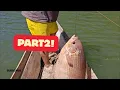 Download Lagu Pukat Rawai Casting Semasa Kemarau Panjang- Part 2