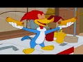 Download Lagu Pica-Pau Adora Cachorro-Quente! | Pica-Pau em Português